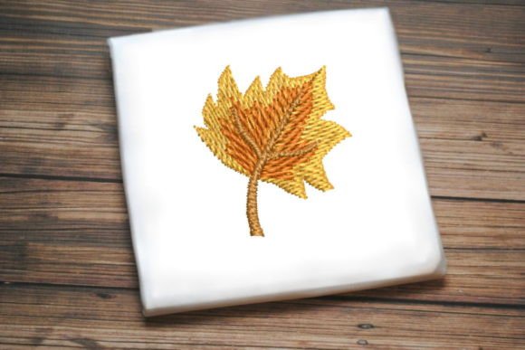 Beautiful Autumn Leaf