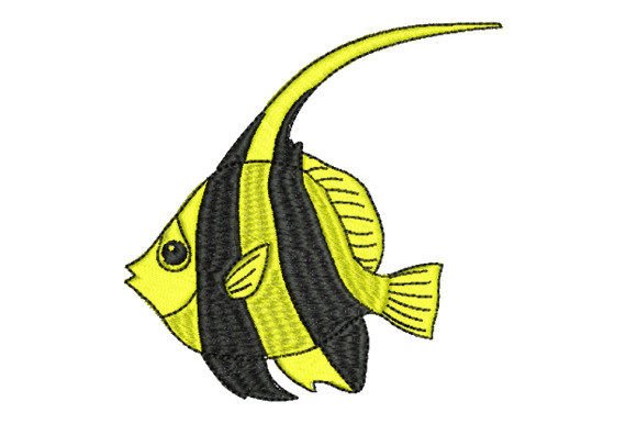 Clownfish As Pet